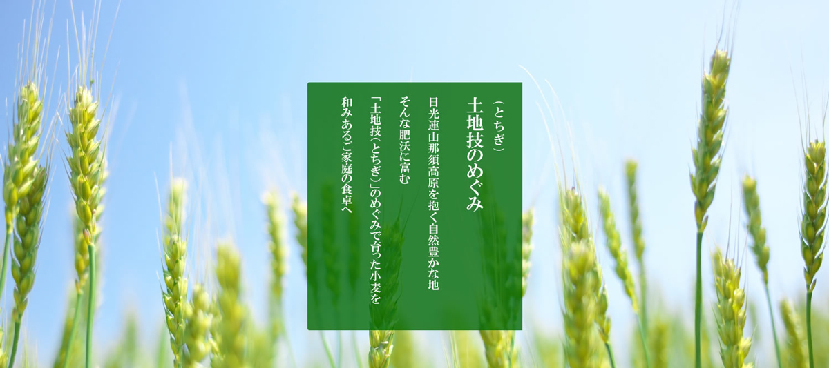 土地技の恵み
日光連山那須高原を抱く自然豊かな地
そんな肥沃に富む
「土地技（とちぎ）」のめぐみで育った小麦を
和みあるご家庭の食卓へ 
